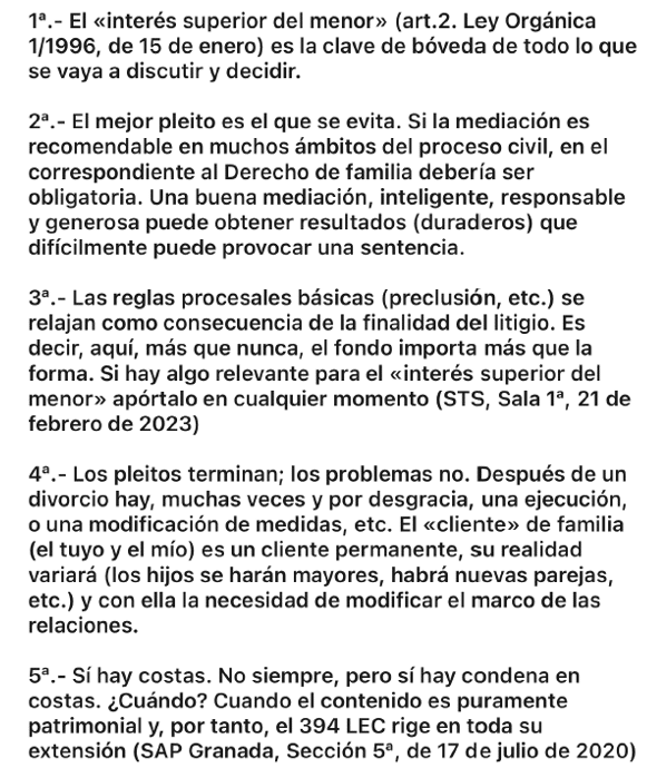 EL LLAMADO “PROCEDIMIENTO DE FAMILIA”. 